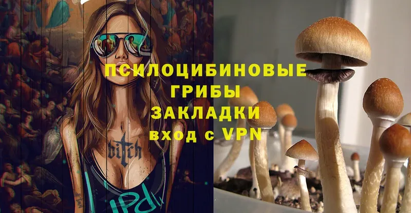 Псилоцибиновые грибы Magic Shrooms  Балашов 